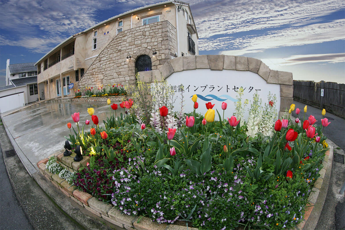 コイケ歯科医院　チューリップの画像2