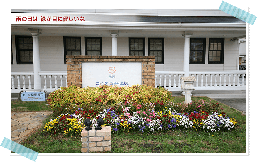 雨の日は、緑が目に優しいな