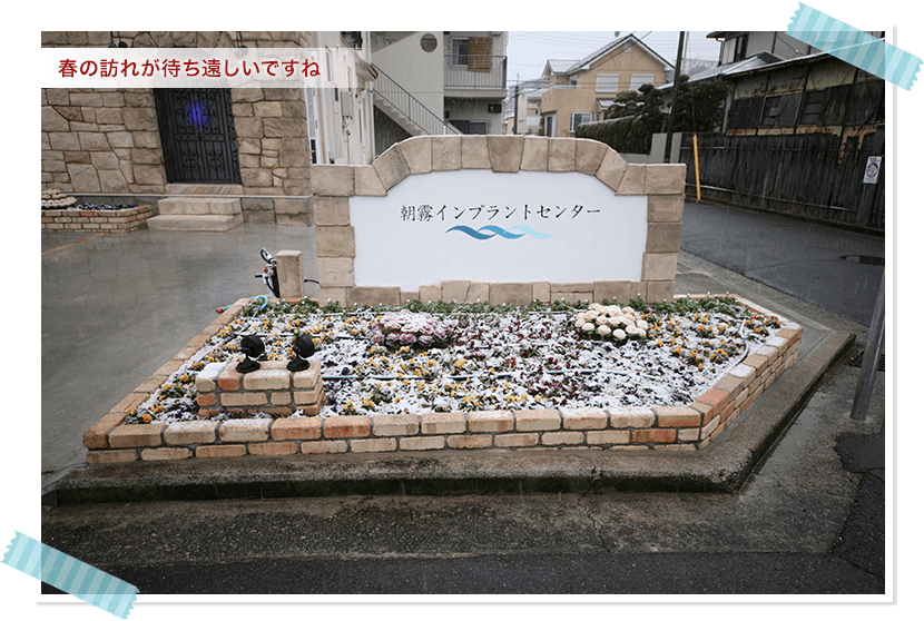春の訪れが待ち遠しいですね