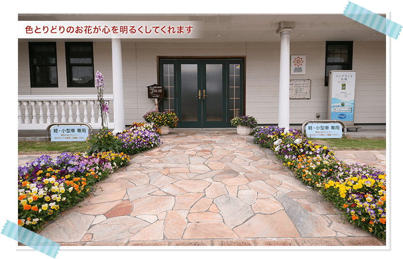 色とりどりのお花が心を明るくしてくれます
